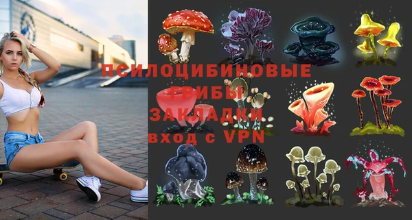 бутират Арсеньев