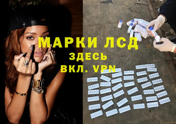 прущие грибы Армянск
