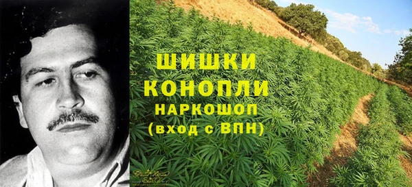 spice Балахна